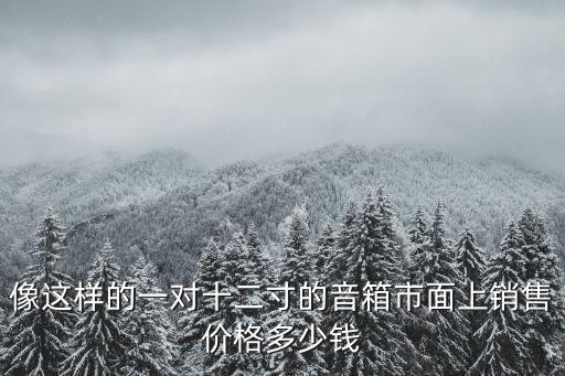 像这样的一对十二寸的音箱市面上销售价格多少钱