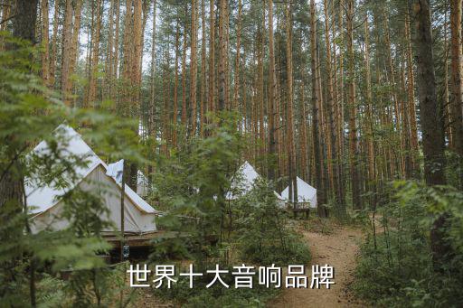 世界十大音响品牌