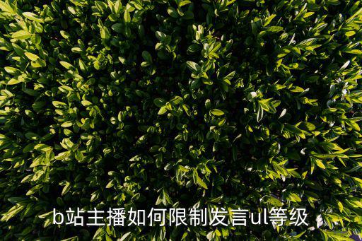 b站主播如何限制发言ul等级