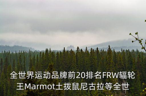全世界运动品牌前20排名FRW辐轮王Marmot土拨鼠尼古拉等全世