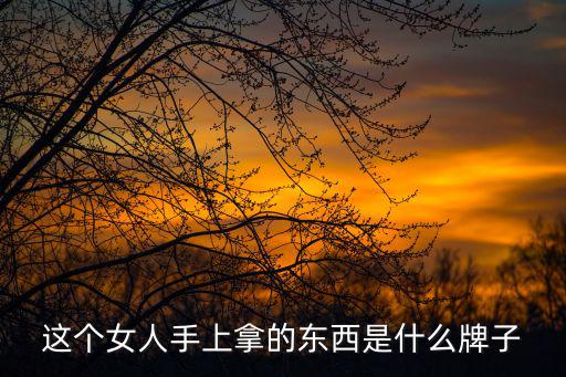 中视时尚是什么，fashion什么意思