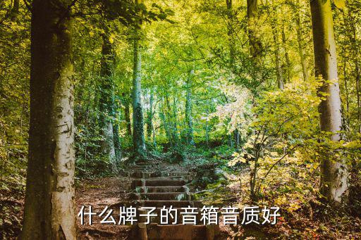 什么牌子的音箱音质好