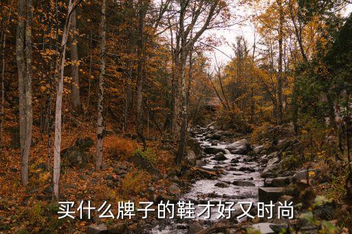 快时尚品牌哪个鞋子好，哪些潮鞋品牌比较好