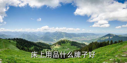 床上用品什么牌子好