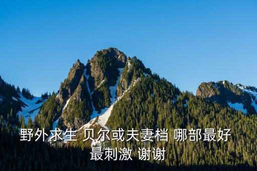 史上最刺激的荒野求生，请问世界上最著名的荒野求生节目主持人是哪些我想看一些好看的荒