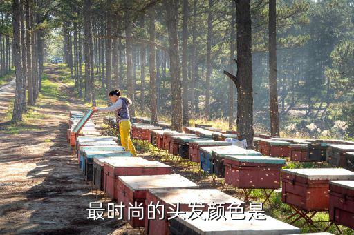 最时尚的头发颜色是