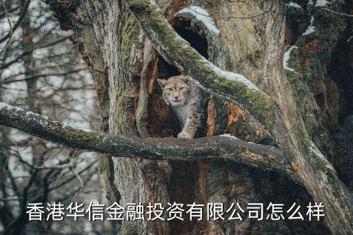 香港华信金融投资有限公司怎么样