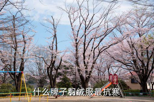 什么牌的羽绒服最好抗冷，哪个牌子的羽绒服保暖性比较好