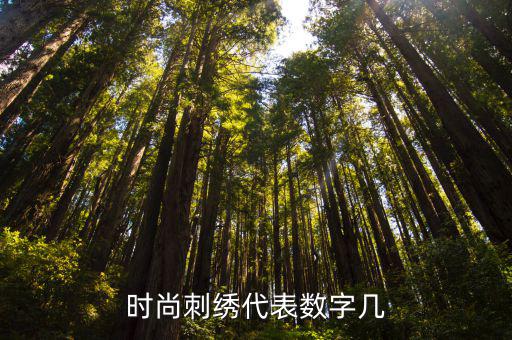 时尚刺绣代表数字几