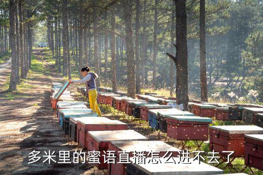 多米里的蜜语直播怎么进不去了