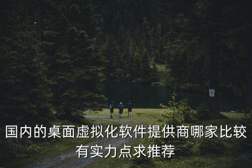 国内的桌面虚拟化软件提供商哪家比较有实力点求推荐