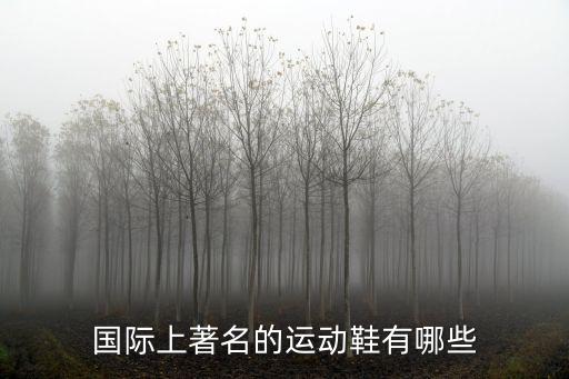 国际上著名的运动鞋有哪些