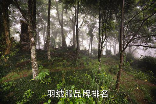 羽绒服品牌排名