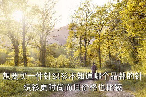 想要买一件针织衫不知道哪个品牌的针织衫更时尚而且价格也比较