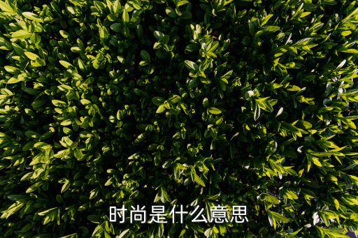 时尚是什么意思
