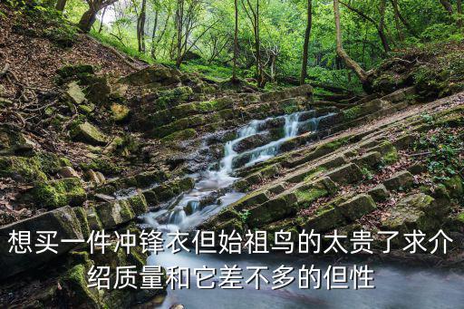 想买一件冲锋衣但始祖鸟的太贵了求介绍质量和它差不多的但性