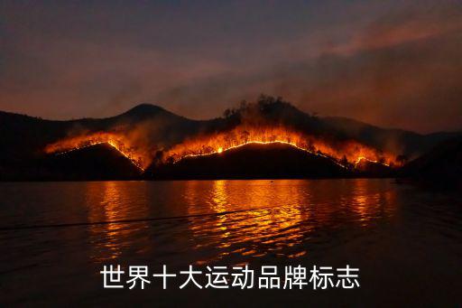 世界十大运动品牌标志