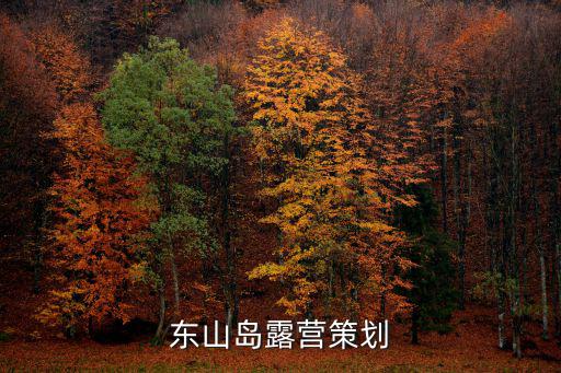 东山岛露营策划