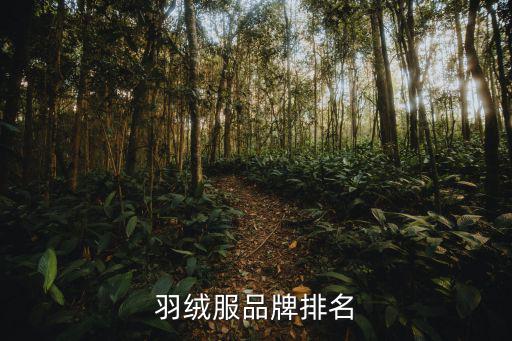 羽绒服品牌排名