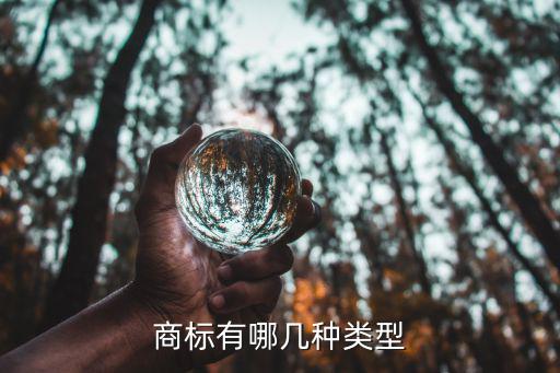 商标有哪几种类型
