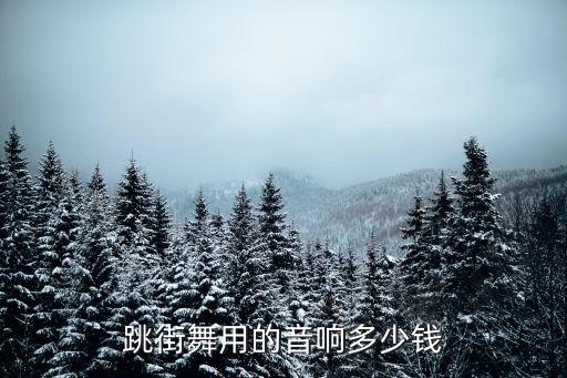 广场舞音响多少钱，广场舞贝德八寸喇叭音响多少钱