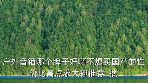 户外音箱哪个牌子好啊不想买国产的性价比高点求大神推荐  搜