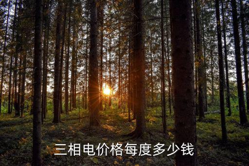 三相电价格每度多少钱