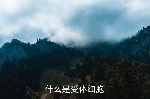 什么是受体细胞