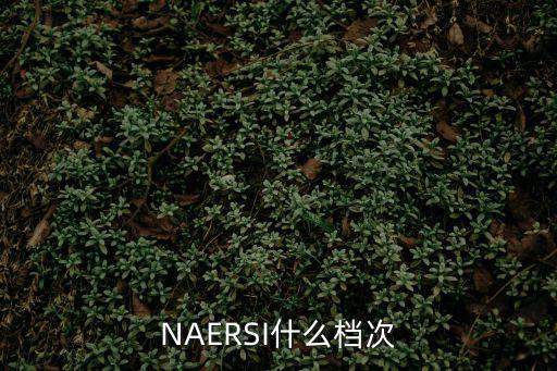 NAERSI什么档次