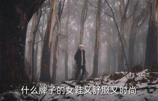 什么牌子的女鞋又舒服又时尚