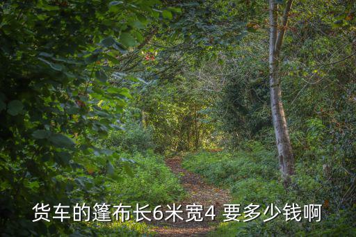 货车的篷布长6米宽4 要多少钱啊