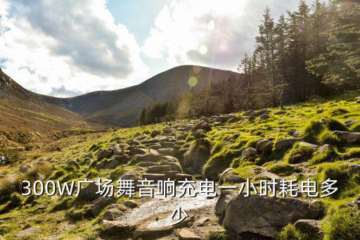 300W广场舞音响充电一小时耗电多少