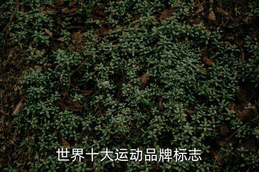 世界十大运动品牌标志