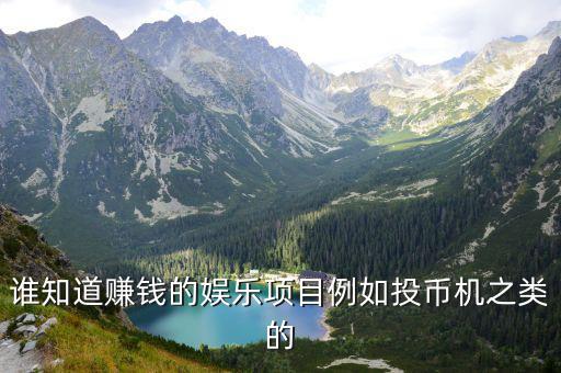 谁知道赚钱的娱乐项目例如投币机之类的