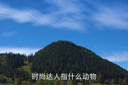 时尚达人是什么动物，时尚达人指什么动物