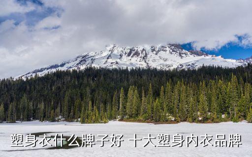 塑身衣什么牌子好 十大塑身内衣品牌