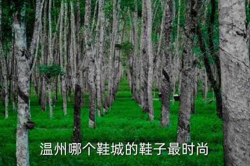 温州哪个鞋城的鞋子最时尚
