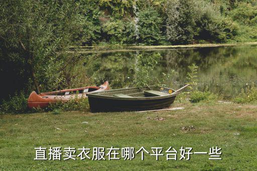 直播卖衣服在哪个平台好一些