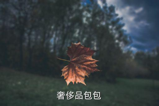 奢侈品包包
