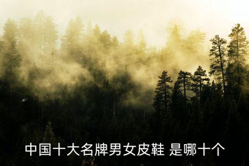 国内皮鞋品牌前十大排名男鞋，中国十大名牌男女皮鞋 是哪十个