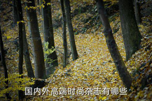 时尚领域创作者哪个最好，时尚领域有哪些著名的学者
