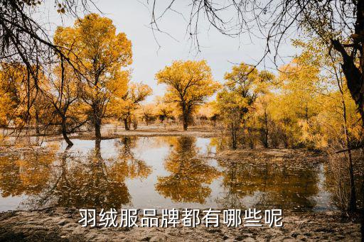 羽绒服品牌都有哪些呢