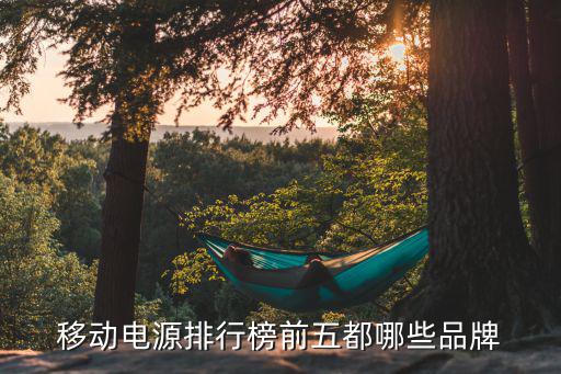 户外大功率移动电源品牌排行榜，移动电源排行榜上有哪些品牌