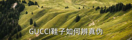 GUCCI鞋子如何辨真伪