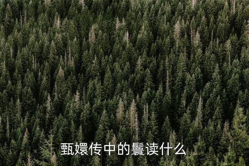 甄嬛传中的鬟读什么