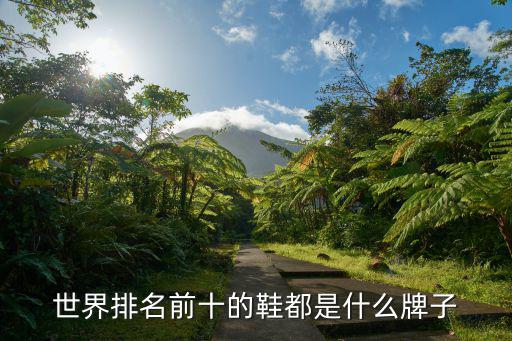 世界排名前十的鞋都是什么牌子