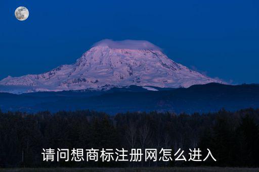 请问想商标注册网怎么进入