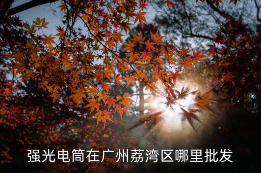 强光电筒在广州荔湾区哪里批发