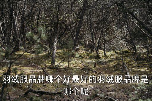 羽绒服品牌哪个好最好的羽绒服品牌是哪个呢