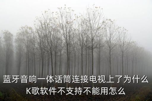 自带音响一体的麦克风排行榜，在家唱歌录音之类买哪个牌子麦克风